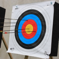 Archery-Methode Führungskräfte-Training 513