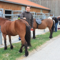 Führungskräfte-Training mit Pferden 512