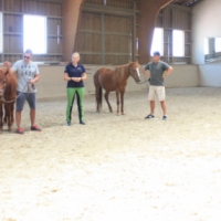 Führungskräfte-Training mit Pferden 617