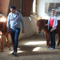 Führungskräfte-Training mit Pferden für Lehrlingsausbilder