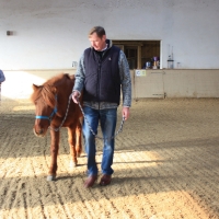 Intensiv-Training mit Pferden für Nachwuchsführungskräfte