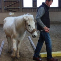 Intensiv-Training mit Pferden für Nachwuchsführungskräfte