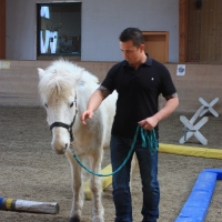 Persönlichkeits-Entwicklung und Methoden-Training mit Pferden 312