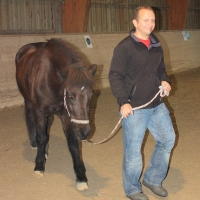Schnupper-Workshop Pferdetraining