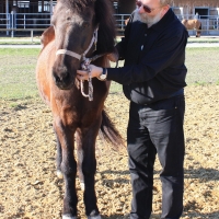 Schnupper-Workshop Pferdetraining 413